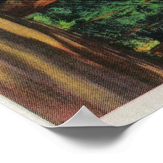 The Chandelier Tree, Underwood Park Poster (Hoek)