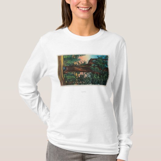The Chandelier Tree, Underwood Park T-shirt (Voorkant)
