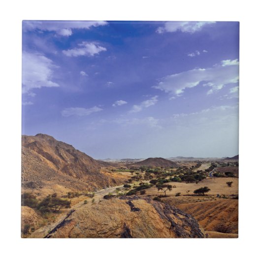 The charming beauty of desert nature under a blue  tegeltje (Voorkant)