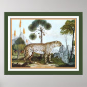 "The Cheetah" 1886 van Aloys Zotl Poster (Voorkant)