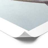 The Cherokee Scholar, Sequoyah (1776-1843) (kleur) Poster (Hoek)