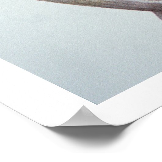 The Cherokee Scholar, Sequoyah (1776-1843) (kleur) Poster (Hoek)