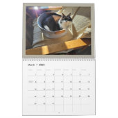 The Chronicles of Todd & Friends 2026 Calendar Kalender (Mar 2026)