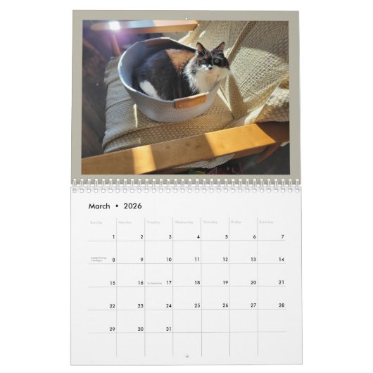 The Chronicles of Todd & Friends 2026 Calendar Kalender (Mar 2026)