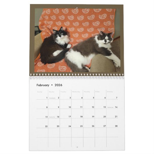 The Chronicles of Todd & Friends 2026 Calendar Kalender (Feb 2026)