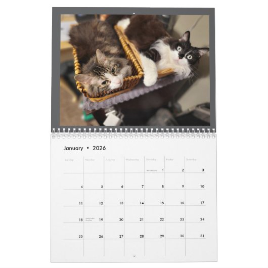 The Chronicles of Todd & Friends 2026 Calendar Kalender (Jan 2026)