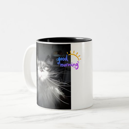 The Chronicles of Todd - Good Morning Mok (Voorkant links)