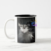 The Chronicles of Todd - Good Morning Mok (Links)