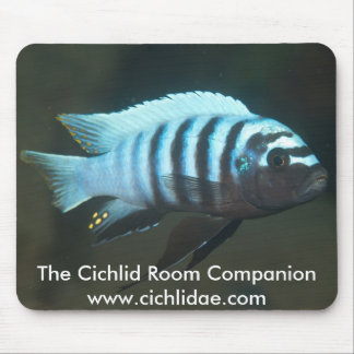 The Cichlid Room Companion - Metriaclima zebra Muismat