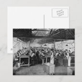 The cigar manufacturing departments briefkaart (Voorkant / Achterkant)