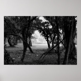 The Clearing - Zwarte en Witte Bosgrond Poster