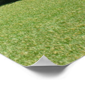 The Cloisters, Paradise Island, Bahama's Poster (Hoek)