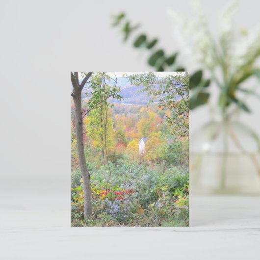 The coconto of a mountain fall briefkaart (Staand voorkant)