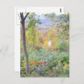 The coconto of a mountain fall briefkaart (Voorkant / Achterkant)