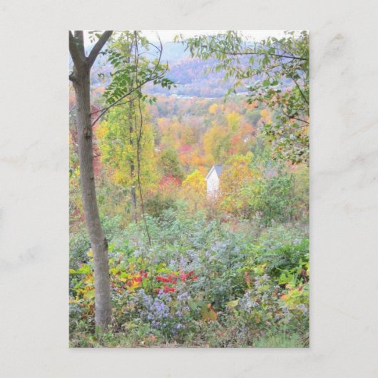 The coconto of a mountain fall briefkaart (Voorkant)