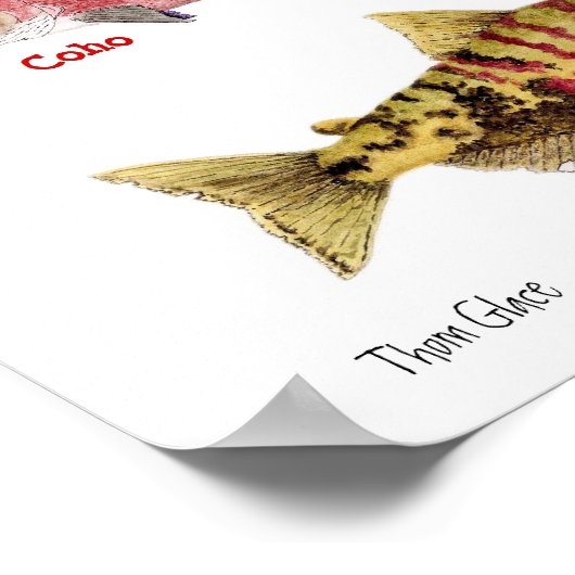 The Colors of Salmon Poster (Hoek)