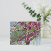 The Colours of Spring: Tokyo Briefkaart (Staand voorkant)