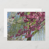 The Colours of Spring: Tokyo Briefkaart (Voorkant / Achterkant)