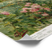 The Coming Nelson, van de perars Annual 1901 Poster (Hoek)