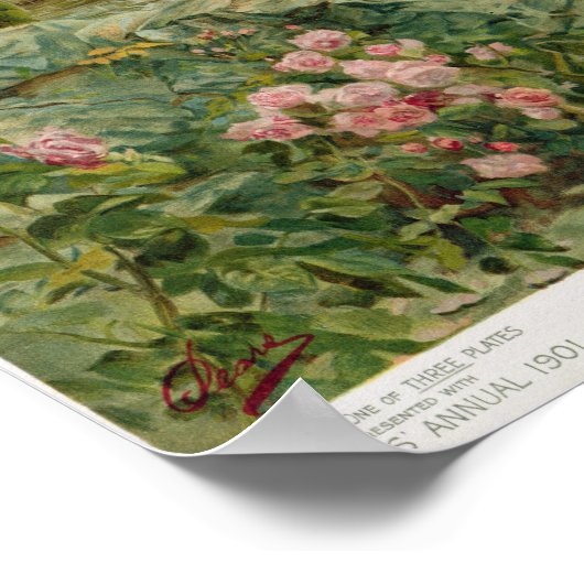 The Coming Nelson, van de perars Annual 1901 Poster (Hoek)