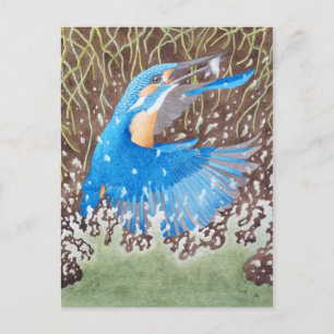 The Common Kingfisher Briefkaart