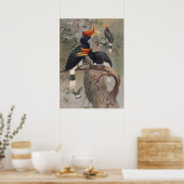 The Concave-Casqued Hornbill by Joseph Wolf Poster (Keuken)