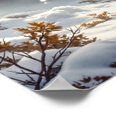 The Conflict Poster (Hoek)