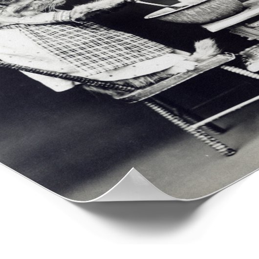 The Cook Cat Funny Harry Whittier Frees 1914 Poster (Hoek)