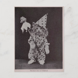 The Court Jester of Tabbyland Briefkaart