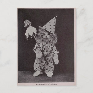 The Court Jester of Tabbyland Briefkaart