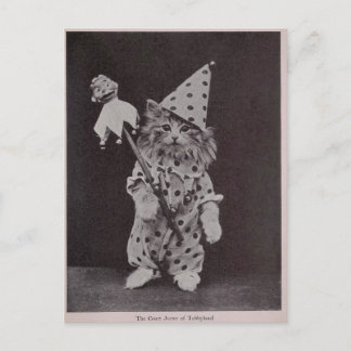 The Court Jester of Tabbyland Briefkaart