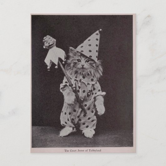 The Court Jester of Tabbyland Briefkaart (Voorkant)