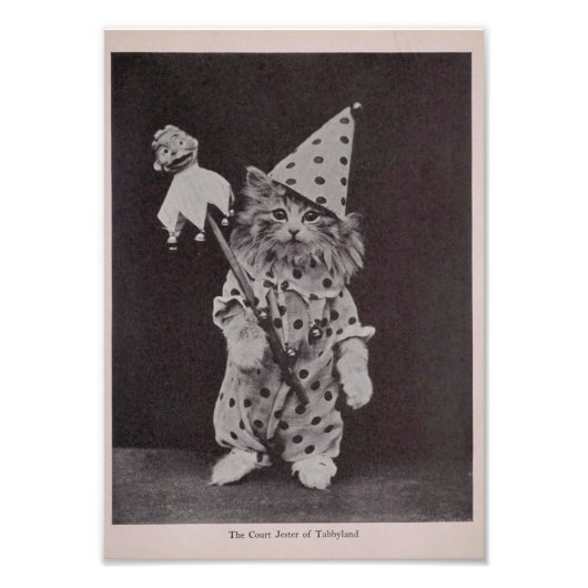 The Court Jester of Tabbyland Foto Afdruk (Voorkant)