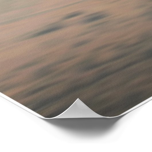 "The Crow & The Pyramids" Poster (Hoek)