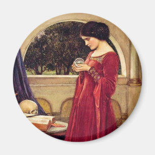 "The Crystal Ball" van John William Waterhouse Magneet