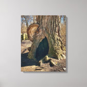 The Curious Hollow 16x20 Canvas Afdruk (Voorkant)