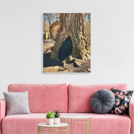The Curious Hollow 16x20 Canvas Afdruk
