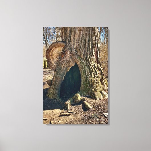 The Curious Hollow 20x30 Canvas Afdruk (Voorkant)