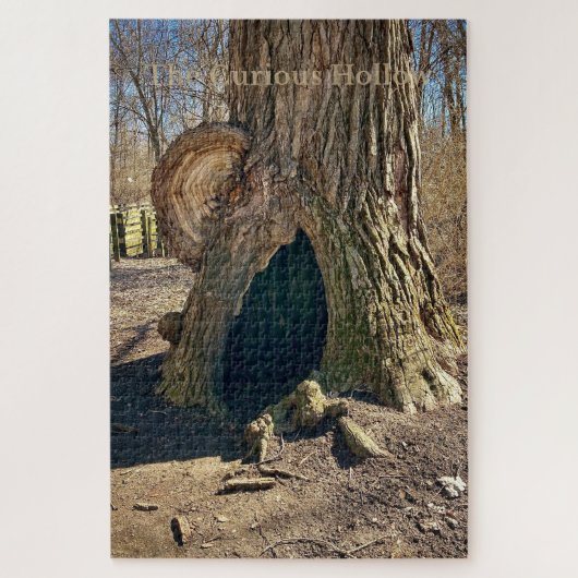 The Curious Hollow  Legpuzzel (Verticaal)