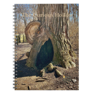 The Curious Hollow Notitieboek