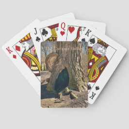 The Curious Hollow Pokerkaarten
