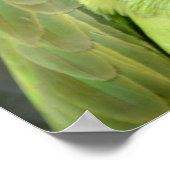 The Curious Parrot Poster (Hoek)