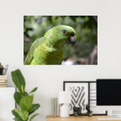 The Curious Parrot Poster (Thuiskantoor)