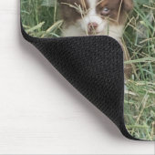 The Cuteness Never Stops Muismat (Hoek)