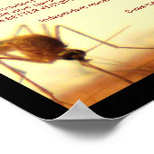 The Dangers of Wolbachia van RoseWrites Poster (Hoek)