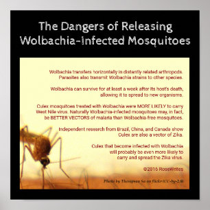 The Dangers of Wolbachia van RoseWrites Poster