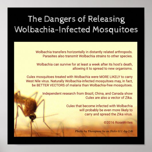 The Dangers of Wolbachia van RoseWrites Poster (Voorkant)