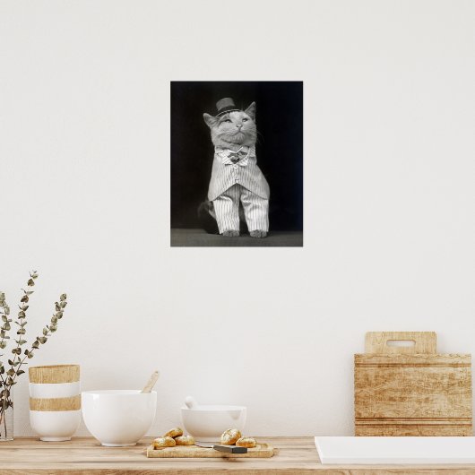 The Dapper Cat, 1906.  foto Poster (Keuken)