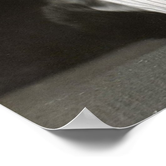 The Dapper Cat, 1906.  foto Poster (Hoek)