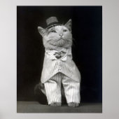 The Dapper Cat, 1906.  foto Poster (Voorkant)